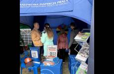 IMG_0231_copy_1_original