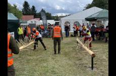 IMG_0338_original