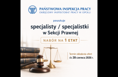 nabor_-_specjalista_strona_internetowa_original