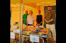 IMG_20250905_112907038_HDR_original