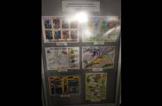 IMG_20260518_110119_original