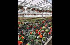 IMG_20260522_095734_original