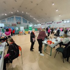 IMG_20261003_104943